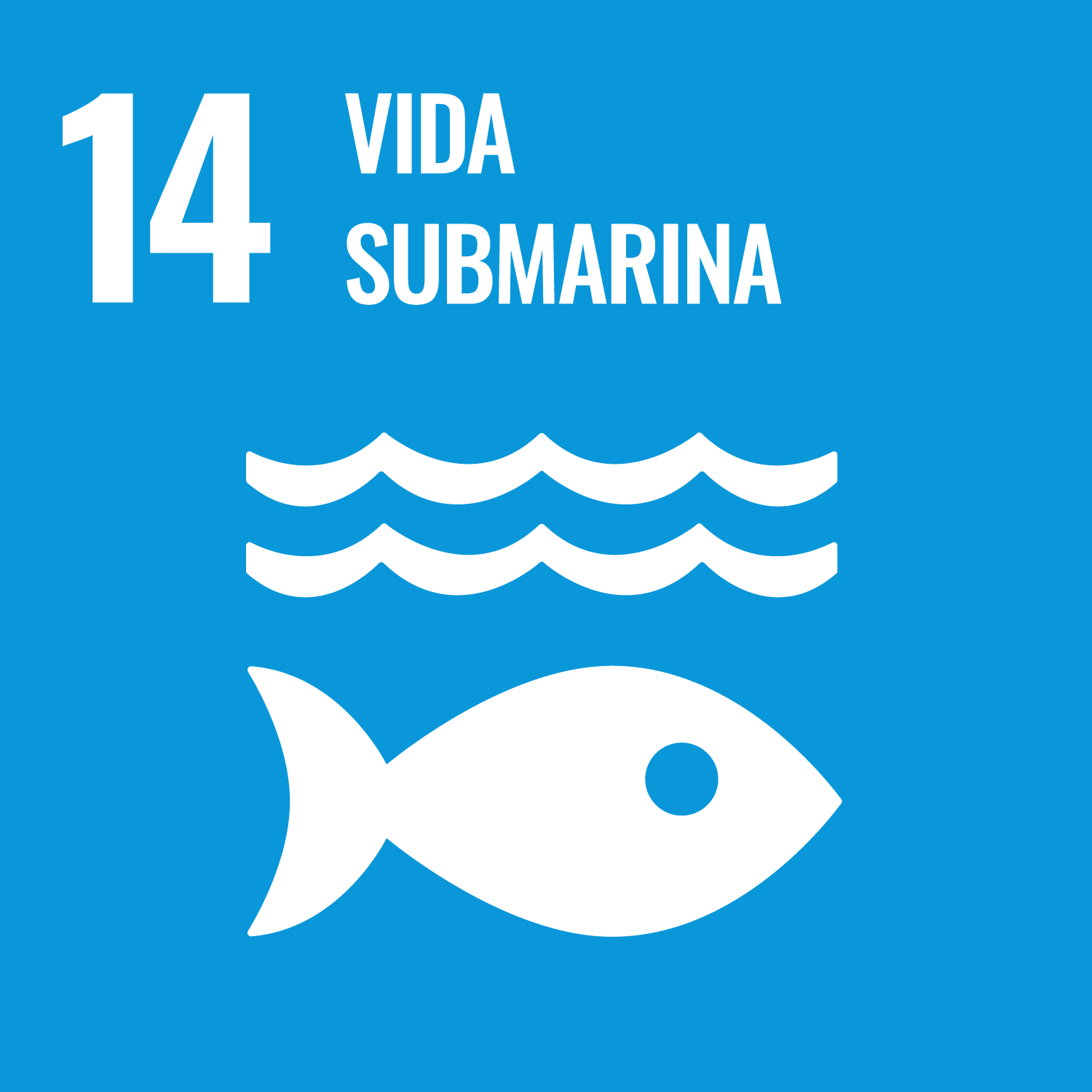 14 - Vida submarina