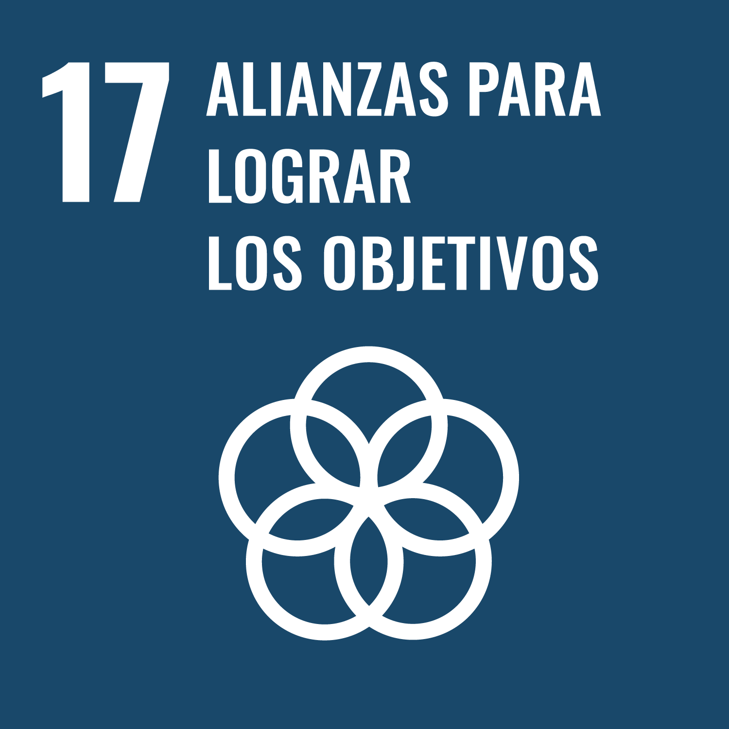 17 - Alianzas para lograr los objetivos